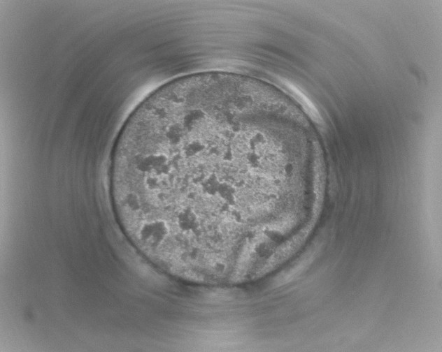 X0000115060899200911231212