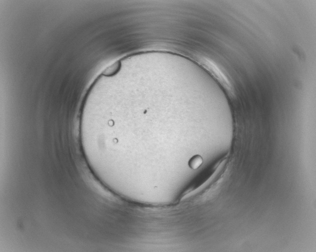 X0000115060900200911231212