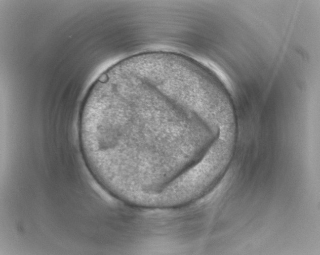 X0000115060902200911231212