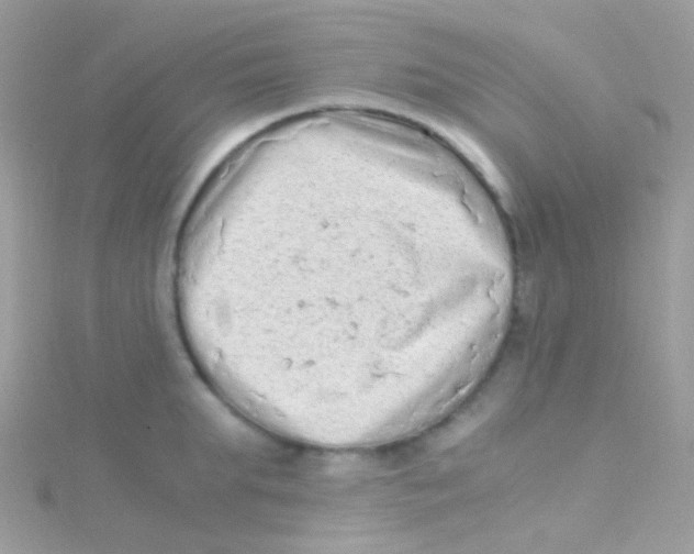 X0000115060903200911231212