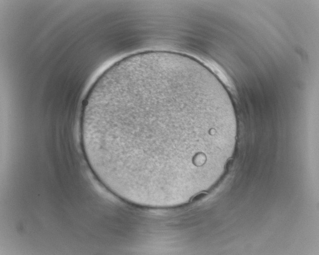 X0000115060904200911231212