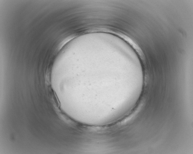 X0000115060905200911231212