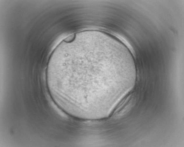 X0000115060906200911231212