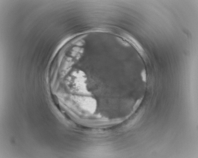 X0000115060907200911231212