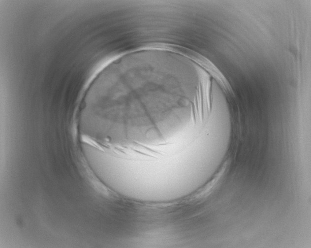 X0000115060908200911231212