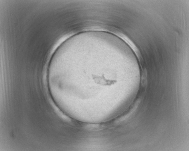 X0000115060909200911231212