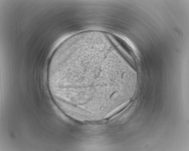 X0000115060910200911231212