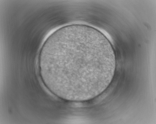 X0000115060911200911231212