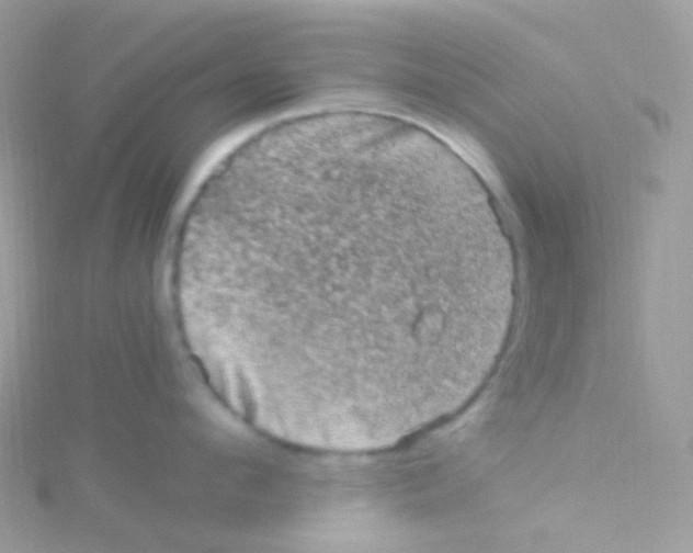 X0000115060912200911231212