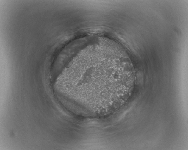 X0000115060913200911231212