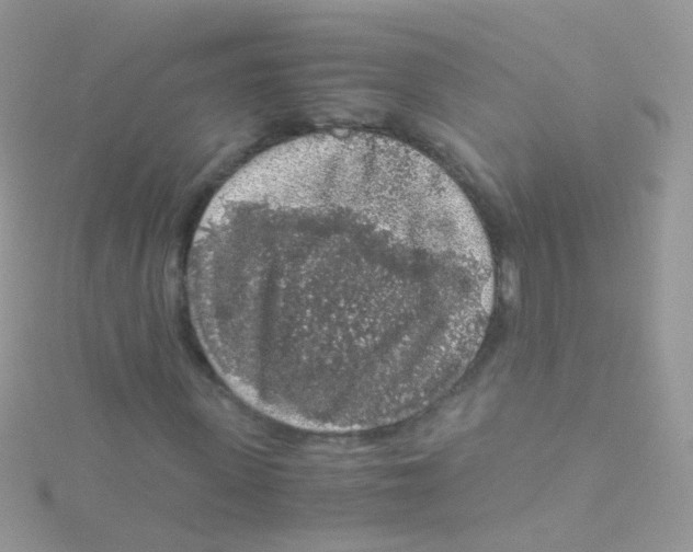 X0000115060915200911231212