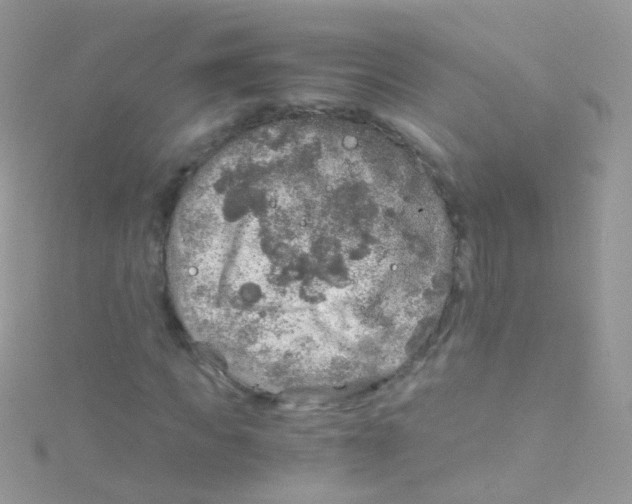 X0000115060917200911231212