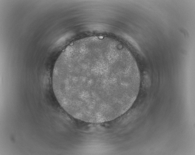 X0000115060918200911231212