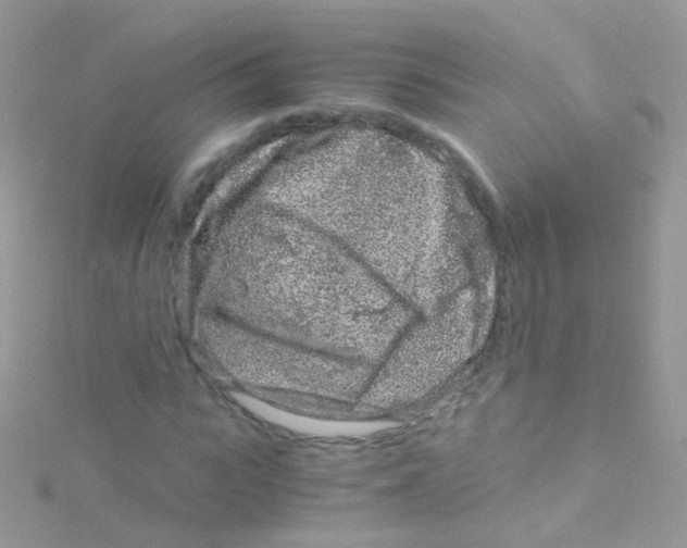 X0000115060919200911231212