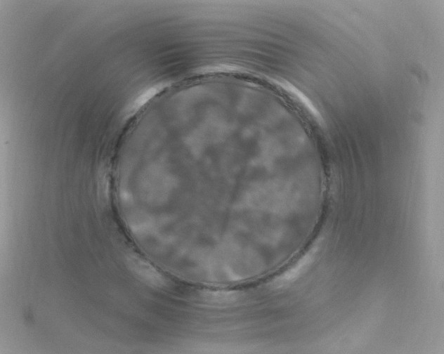 X0000115060921200911231212