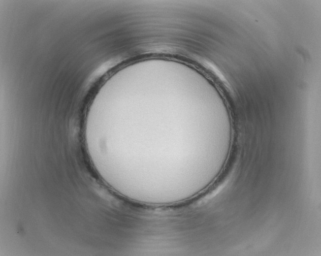 X0000115060922200911231212