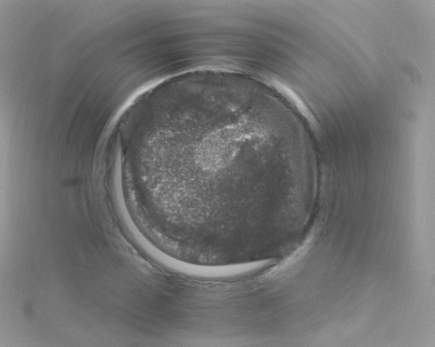 X0000115060923200911231212