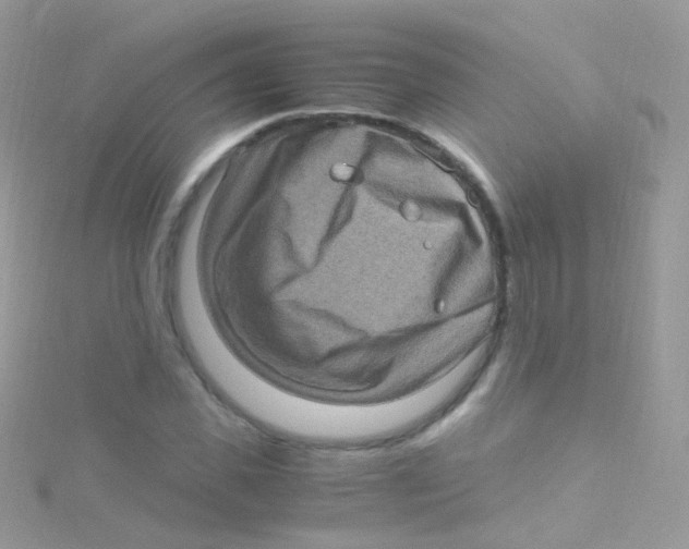 X0000115060925200911231212