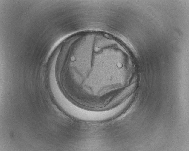 X0000115060926200911231212