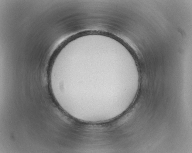 X0000115060927200911231212