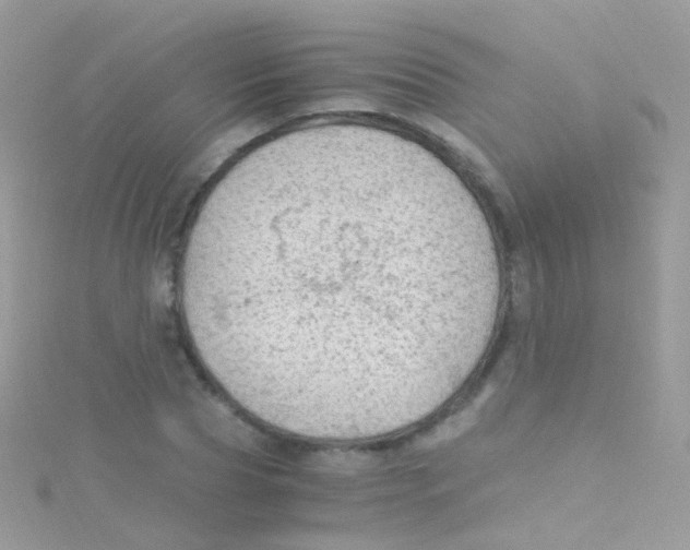 X0000115060929200911231212