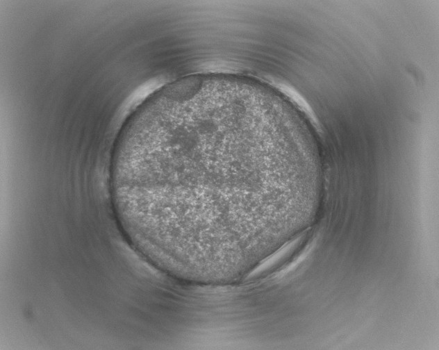 X0000115060930200911231212