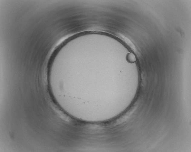 X0000115060931200911231212