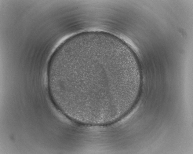 X0000115060934200911231212