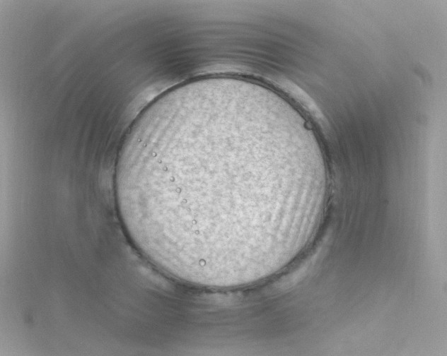 X0000115060937200911231212