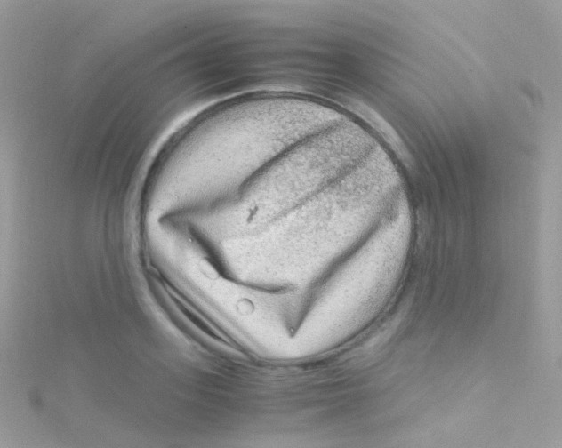 X0000115060939200911231212