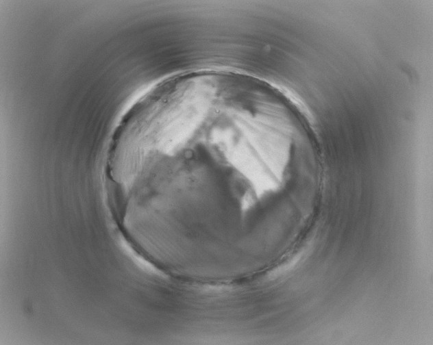 X0000115060941200911231212