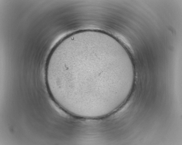 X0000115060942200911231212