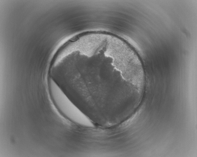 X0000115060943200911231212