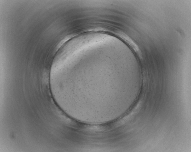 X0000115060945200911231212