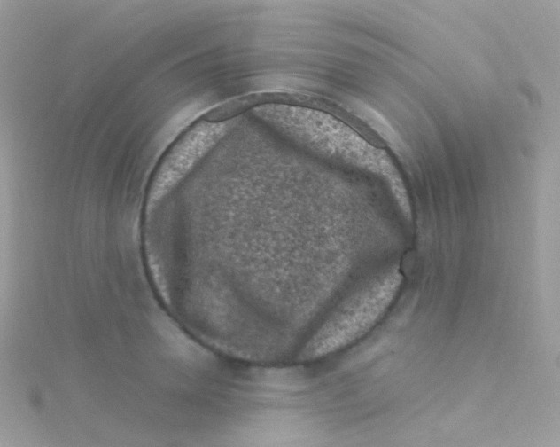 X0000115060946200911231212