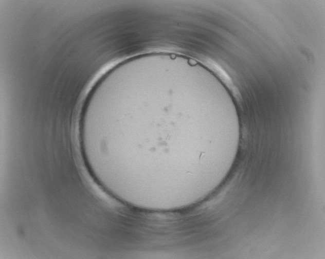 X0000115060947200911231212