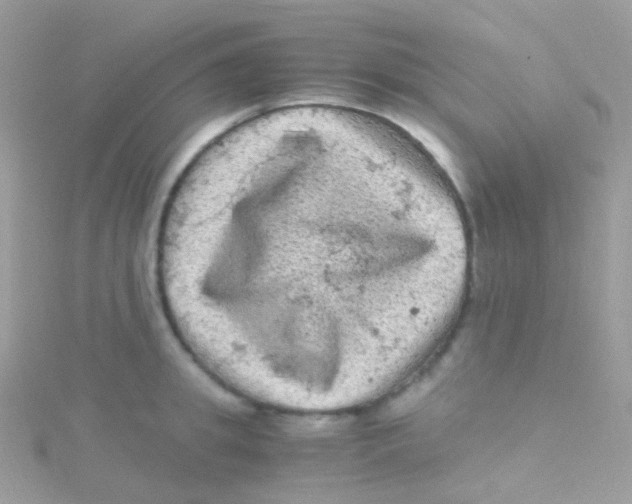 X0000115060949200911231212