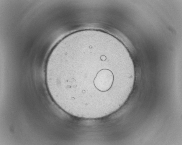 X0000115060950200911231212