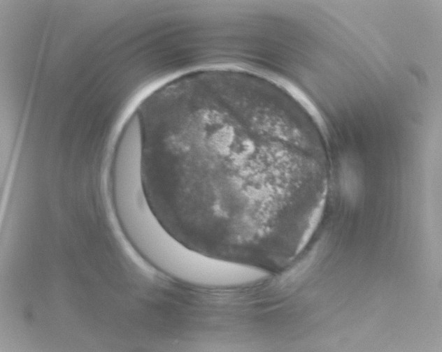 X0000115060951200911231212