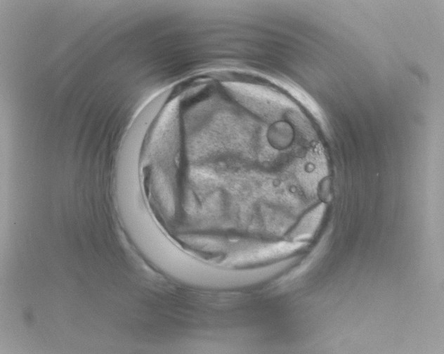 X0000115060953200911231212