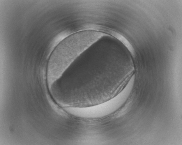 X0000115060954200911231212