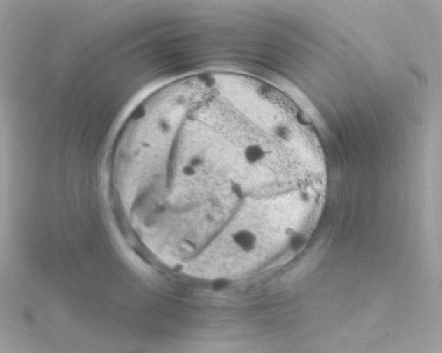 X0000115060955200911231212