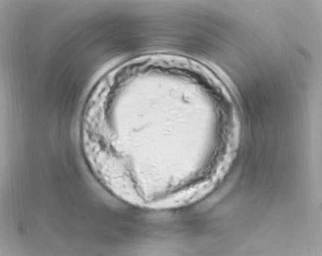 X0000115060957200911231212