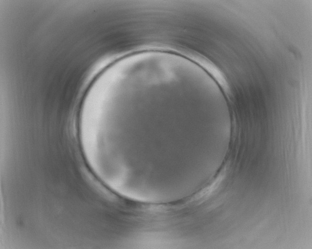 X0000115060958200911231212