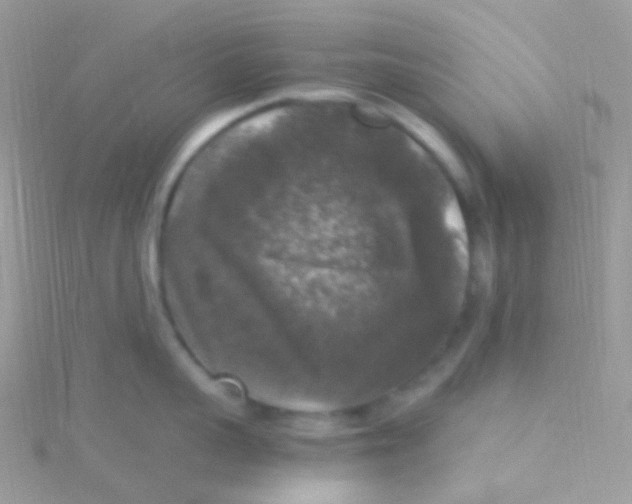 X0000115060959200911231212