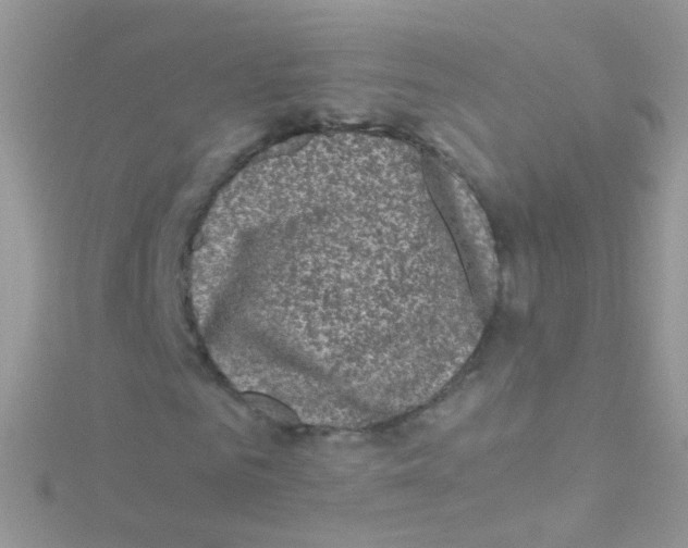 X0000115060961200911231212