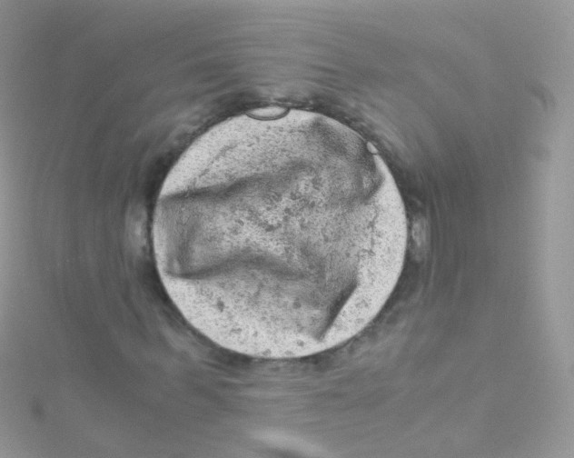 X0000115060963200911231212