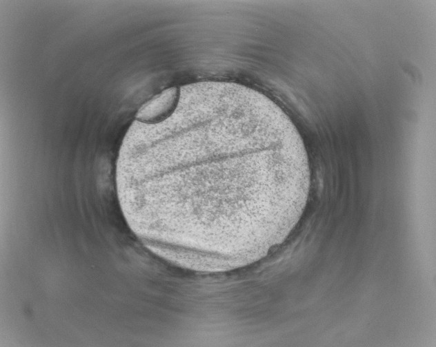 X0000115060964200911231212