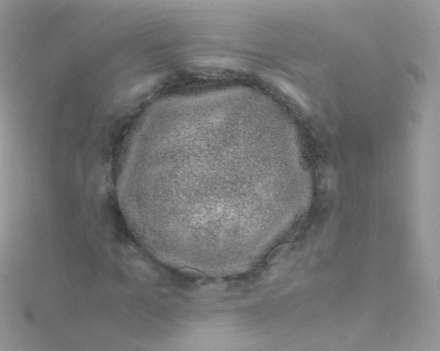 X0000115060965200911231212