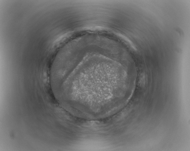 X0000115060966200911231211